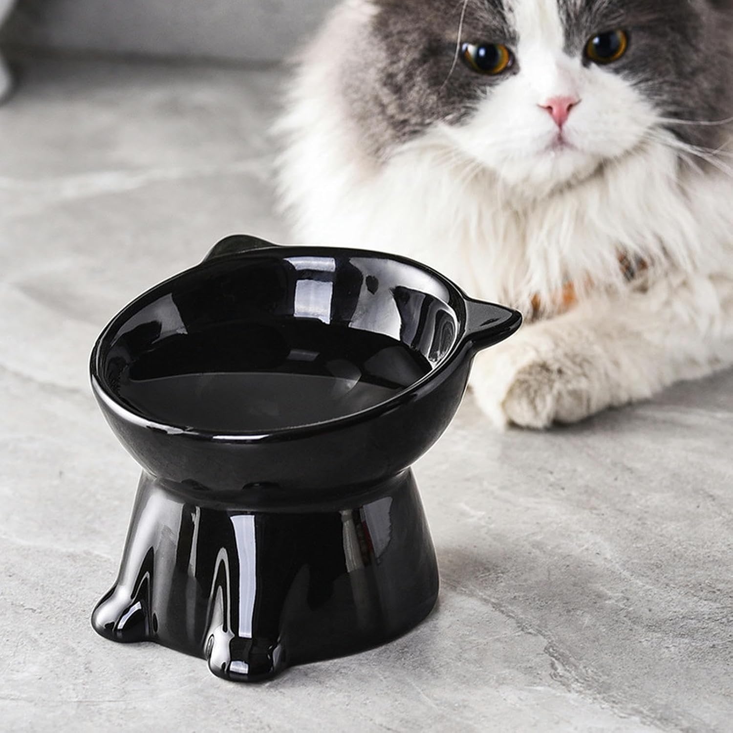 Bol Mancare Pisici Ortopedic PawzUp RoyalBowl, Inalt, Negru