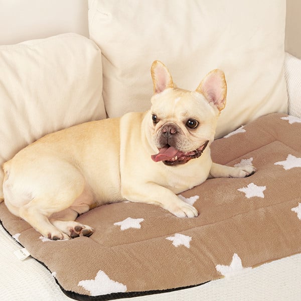 Saltea Caini PawzUp Nest Bed, 61x46 cm, Maro